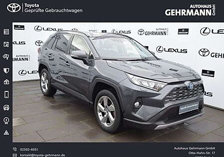 Toyota RAV 4 RAV4 Hybrid 4x2 Team Deutschland *NAVI*SHZ