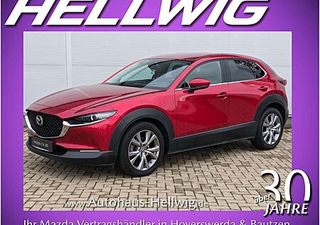 Mazda CX-30 2.0l (150PS) Selection Matrix-LED AHK 1.Hand