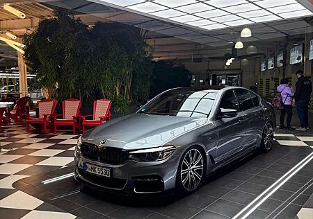 BMW 530 530İ G30 M sport İndividual ( Not Verkaufen