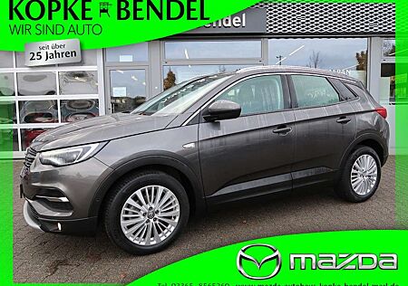 Opel Grandland X *130PS* BUSINESS INNOVATION*LEDER*