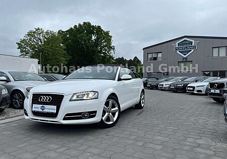 Audi A3 Cabriolet Ambition/S-Heft/Alcan/Bose/SHZ/Xen