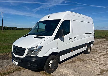 Mercedes-Benz Sprinter 516 CDI / 2 Schiebetüren / Standhzg. / Tempomat