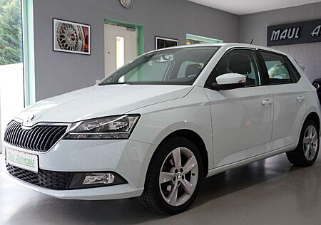 Skoda Fabia Klima BT -App 8-Fach