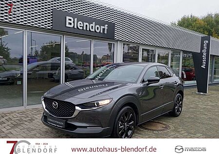 Mazda CX-30 Homura 122 Automatik Kamera|LED|Login|AHK
