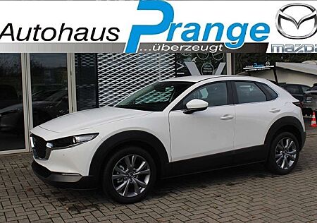 Mazda CX-30 Selection G-150 LEDER-S PRE-P DES-P el.Sitzv. LEDE