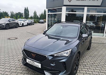 Cupra Formentor VZ 2.0TSI DSG 4Drive AHK BeatsAudio elektr.Fahrers