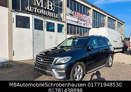 Mercedes-Benz ML 350 CDI BlueTec AMG Airmatic PANORAMA 21 ZOLL