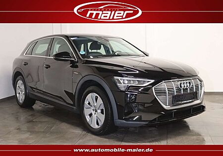 Audi e-tron 55 quattro-Virtual-Luft-Navi-LED-SHZ-PDC-