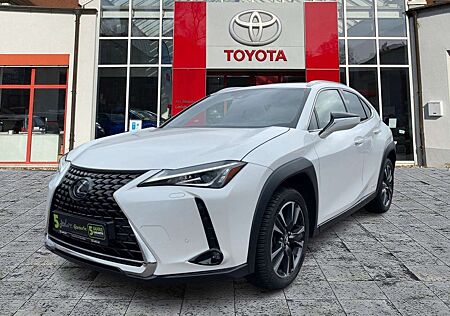 Lexus UX 250h Style Edition ACC*KAM*DAB*SHZ*LenkradHz