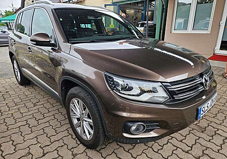VW Tiguan Volkswagen Track Dsg Leder Xenon Ahk 4 Motion