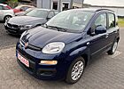 Fiat Panda 1.2 Lounge 1.Hand 37000 Kilometer