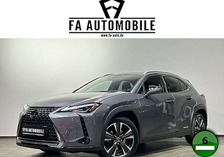 Lexus UX 250h Kamera LED Alcantara Carplay