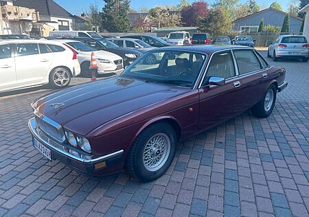 Jaguar XJ40 3,2 H-Zulassung Tüv neu