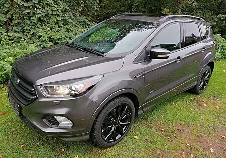 Ford Kuga 2.0 TDCi 4x4 Autm ST-Line AHK Pano 19" Leder ACC