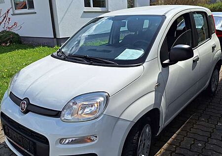 Fiat Panda Easy