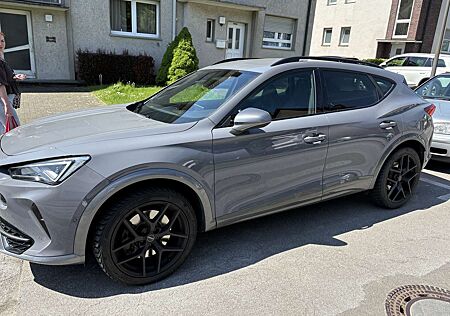 Cupra Formentor VZ 2.0 TSI 4Drive DSG