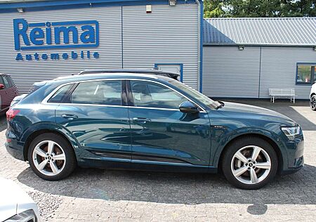 Audi e-tron 55 quattro advanced, Luft, Kamera, AHK