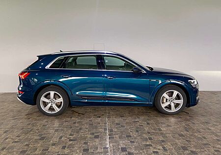 Audi e-tron 55 quattro advanced, Luft, Kamera, AHK