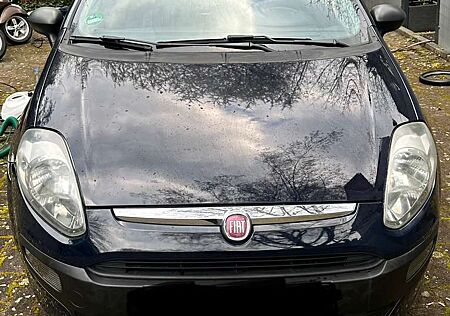 Fiat Punto Evo