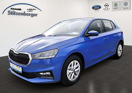 Skoda Fabia Selection 1.0 TSI *Tempomat*SHZ*RFK*LED