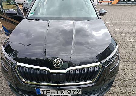 Skoda Kamiq Ambition Erdgas