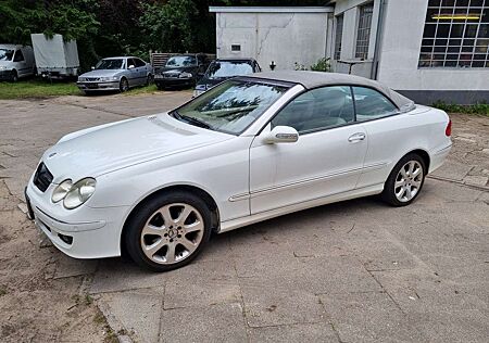 Mercedes-Benz CLK 350 Cabrio 7G-TRONIC Elegance