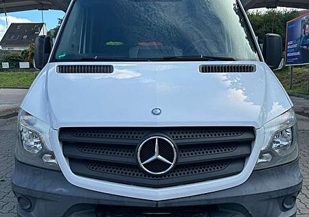 Mercedes-Benz Sprinter 313 CDI Kasten/Lang/Hochdach/Kein Adblue!!