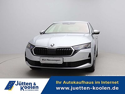 Skoda Octavia Top Selection 2.0 TSI 4x4 DSG