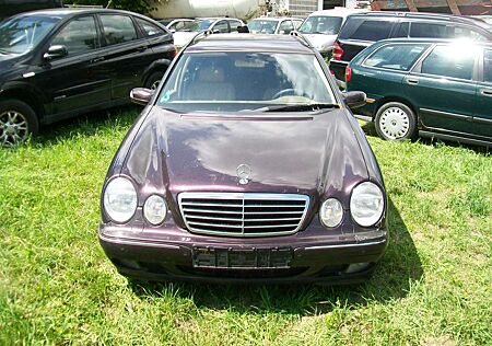 Mercedes-Benz E 270 CDI* Avantgarde* Anhänger Kupplung