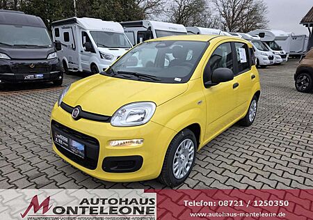 Fiat Panda MY25 Pandina POP Hybrid | PDC | TOP