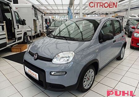 Fiat Panda Base 1.0 Mild Hybrid EU6d DAB Klimaanlage
