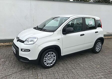 Fiat Panda 1.0 GSE Pandina Hybrid 2024 Sitzheizung