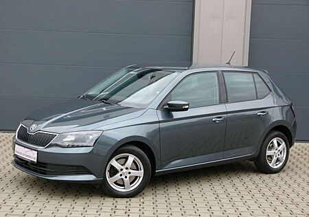 Skoda Fabia Ambition DSG PDC Tempomat Sitzheizung