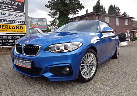 BMW 218i 218 2er Cabrio Cabrio M Sport*1.Hand*Leder*Kamara