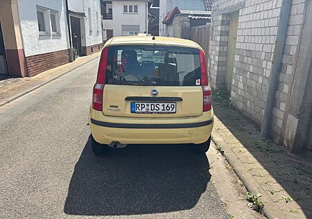 Fiat Panda 1.1 Young