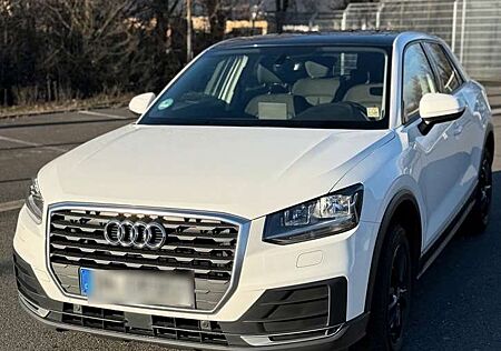 Audi Q2 30 TSFI - Panormadach - 8fach bereift