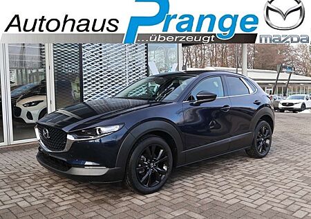 Mazda CX-30 M-Hybrid G-140 Homura *AHK*Sofort*Aktion* NAVI ACA