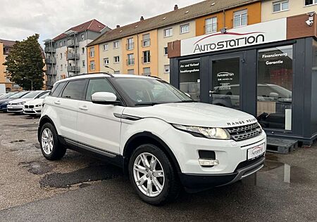 Land Rover Range Rover Evoque Pure *ALLRAD*AUTOMATIK*KAMERA