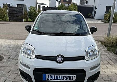 Fiat Panda Young