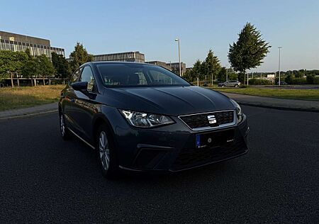 Seat Ibiza Style