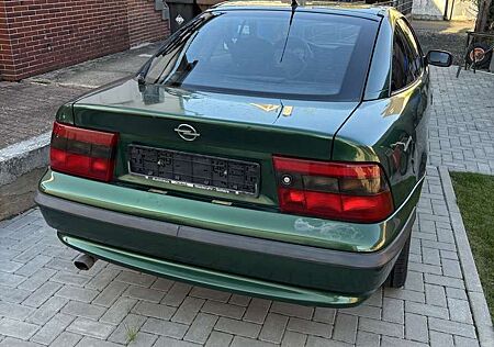 Opel Calibra Young