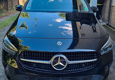 Mercedes-Benz B 200 B -Klasse d, Anhängerkupplung