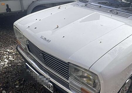 Peugeot 304