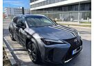 Lexus UX 250h 250h Luxury Line