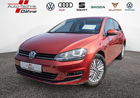 VW Golf Volkswagen VII 1.2 TSI Cup BMT NAVI AHK ACC STANDHZ