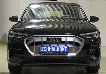 Audi e-tron 50 quattro Navi DAB Standklima LM19