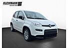 Fiat Panda 1.0 GSE Hybrid 51kW (70PS)