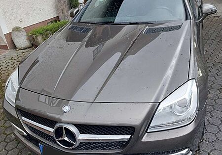 Mercedes-Benz SLK 200 BlueEFFICIENCY Edition 1