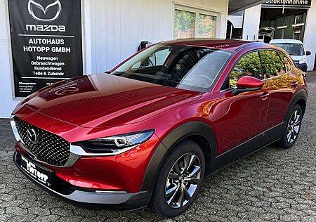 Mazda CX-30 SKYACTIV-X LEDER 360KAMERA BOSE AHK