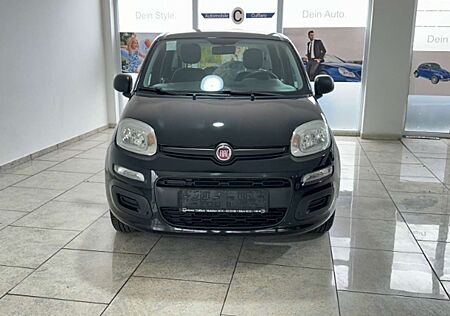 Fiat Panda 1.2 8V Klima eFH Tagfahrlicht ZV ESP ABS Servo TRC